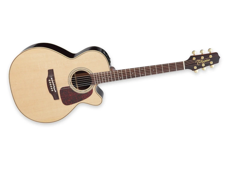 Takamine P5NC 